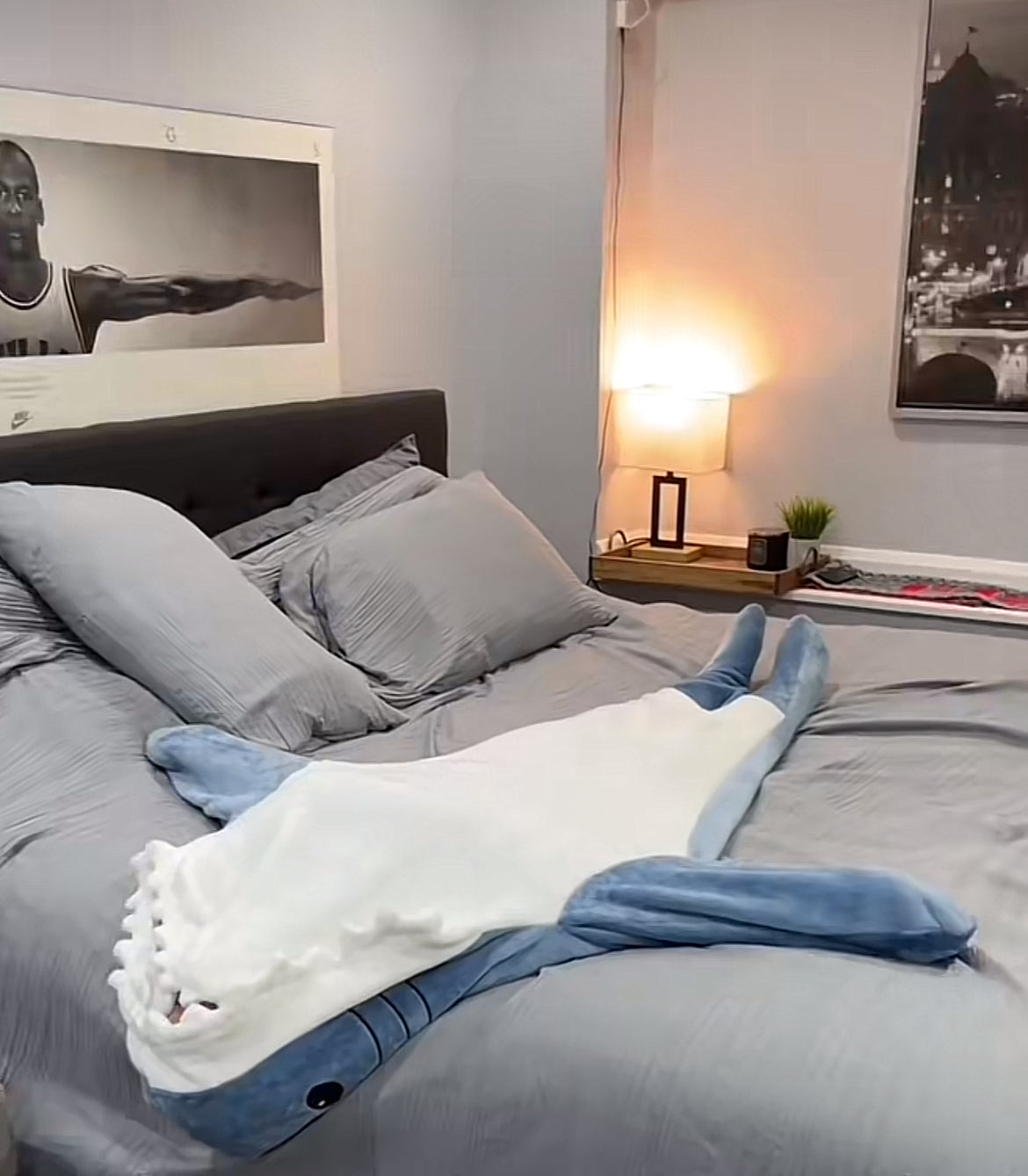 SharkyCozy Blanket